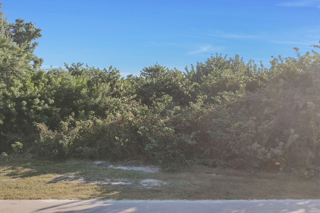 121 Wild Cherry Ln, Marco Island, FL 34145