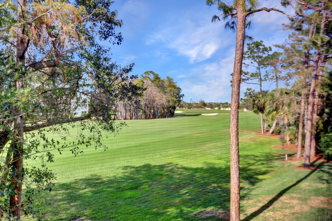 18020 Via Bellamare Ln, Miromar Lakes, FL 33913