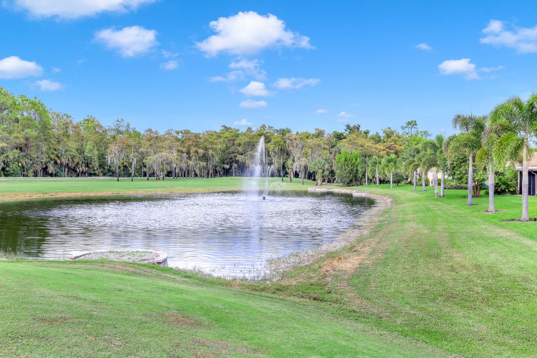 28894 Marsh Elder Ct, Bonita Springs, FL 34135