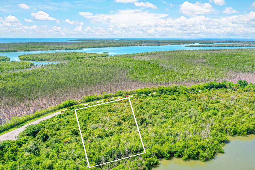 1017 Blue Hill Creek Dr, Marco Island, FL 34145