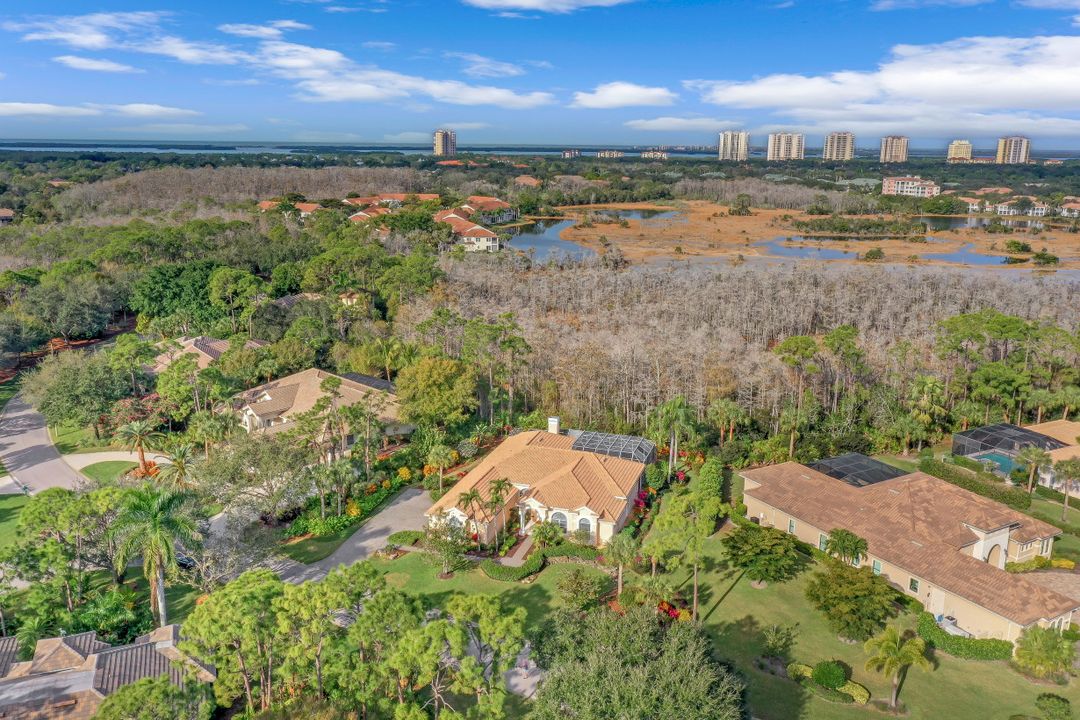 24540 Black Rush Ct, Bonita Springs, FL 34134