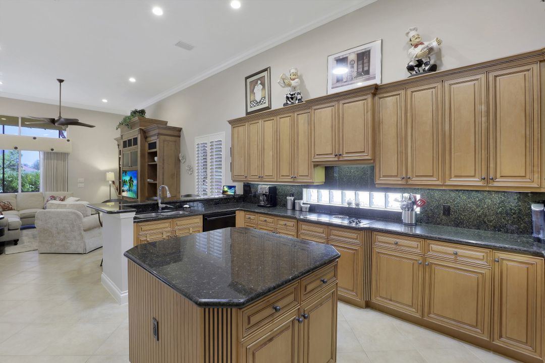 23881 Addison Pl Ct, Bonita Springs, FL 34134