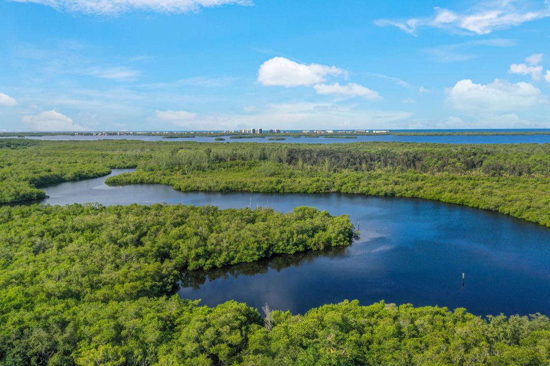 25251 Bay Cedar Dr, Bonita Springs, FL 34134