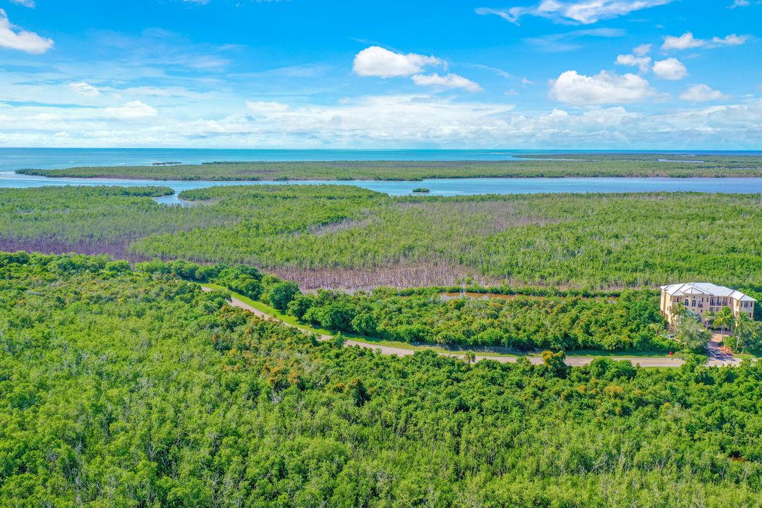 1059 Blue Hill Creek Dr, Marco Island, FL 34145