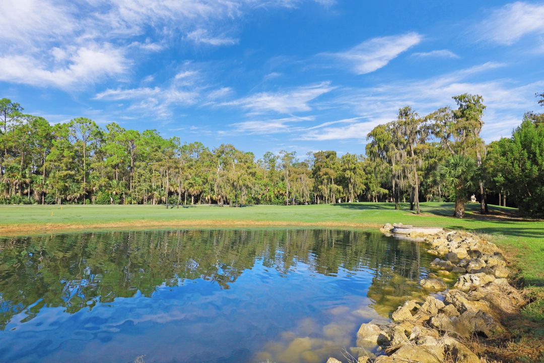 28864 Marsh Elder Ct, Bonita Springs, FL 34135