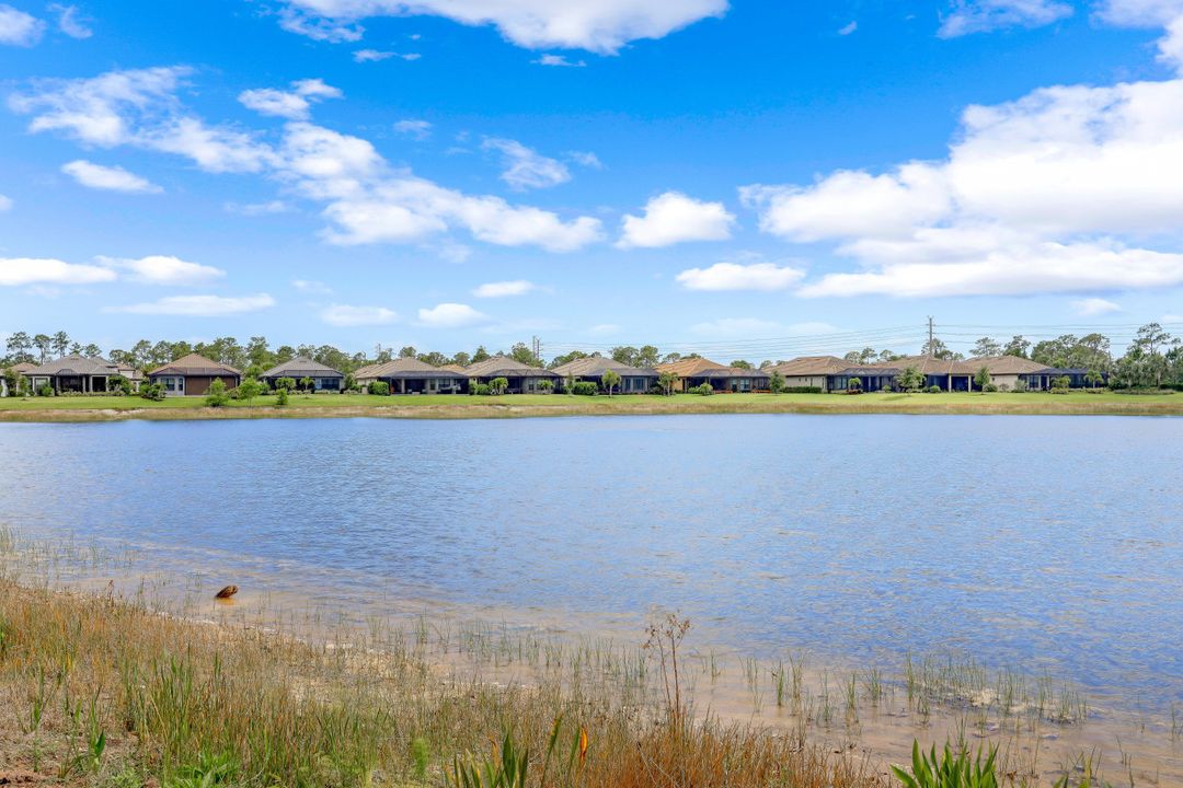19596 Estero Pointe Ln, Fort Myers, FL 33908