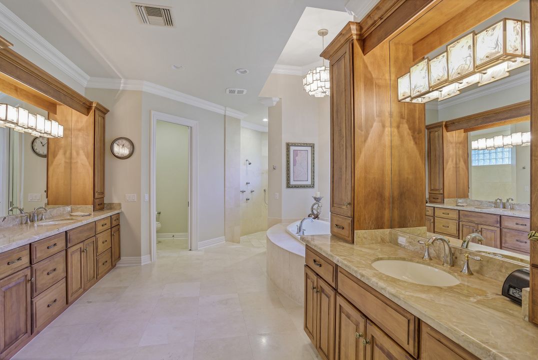 26490 Rookery Lake Dr, Bonita Springs, FL 34134