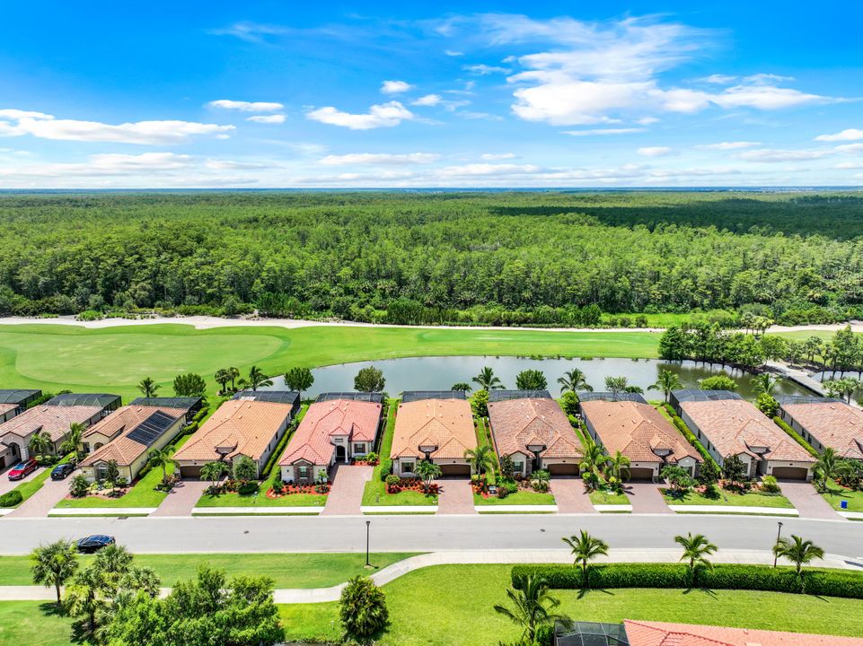 17791 Monaghan Run, Bonita Springs, FL 34135