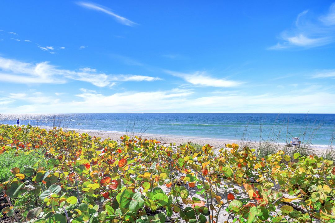 25870 Hickory Blvd #805, Bonita Springs, FL 34134