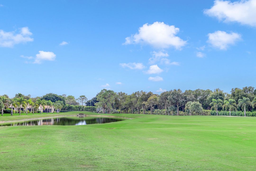 28894 Marsh Elder Ct, Bonita Springs, FL 34135