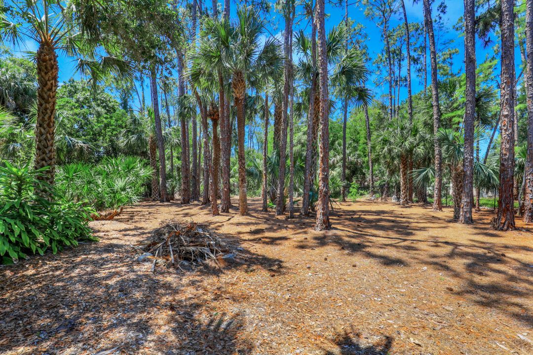 6060 Autumn Oaks Ln, Naples, FL 34119