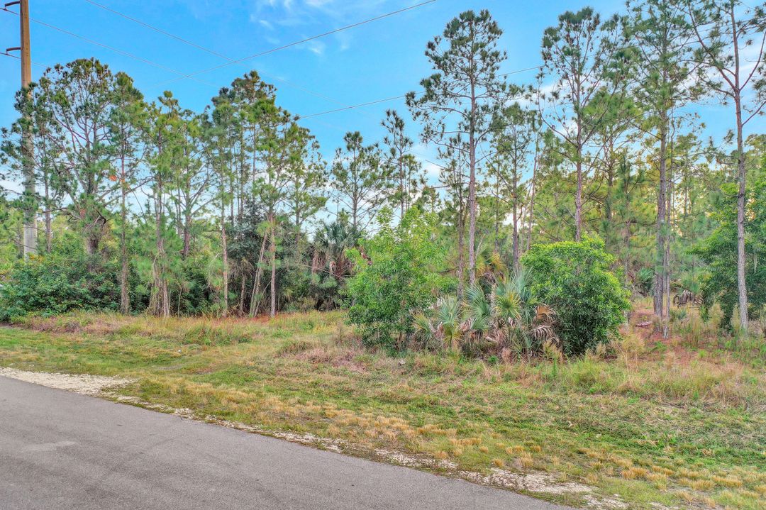 45th Ave NE #Lot 38, , FL 34120