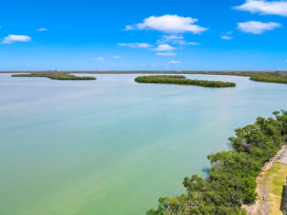 1223 Blue Hill Creek Dr, Marco Island, FL 34145