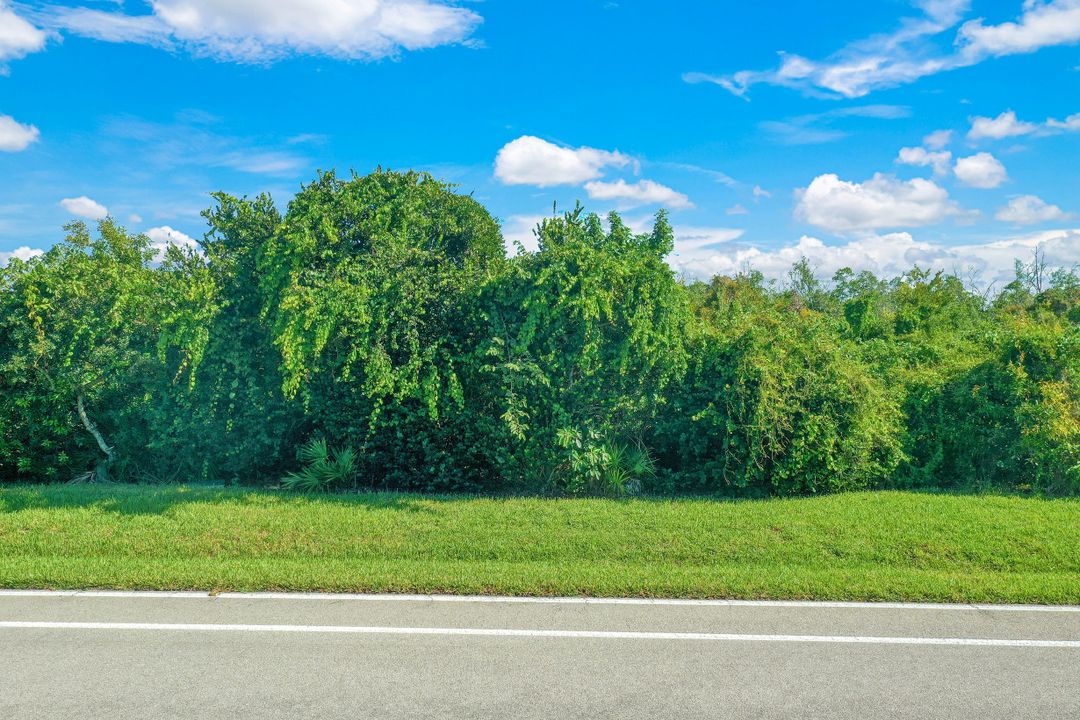 1059 Blue Hill Creek Dr, Marco Island, FL 34145