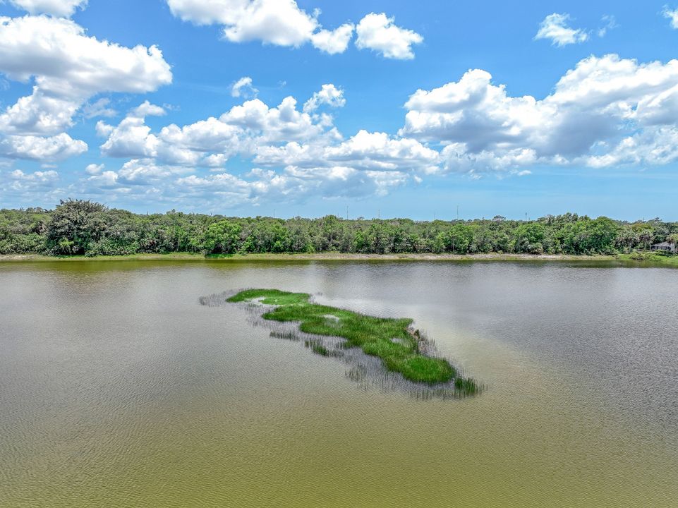 27329 Rue De Paix, Bonita Springs, FL 34135