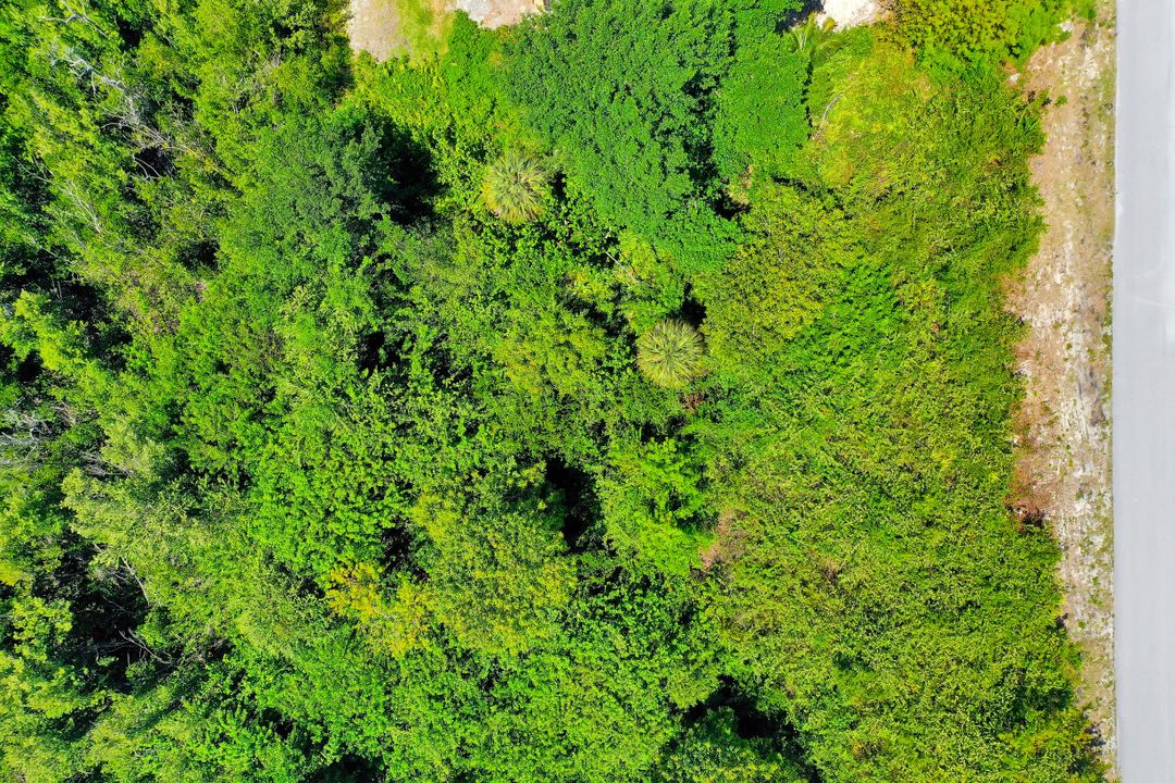 1959 Sheffield Ave, Marco Island, FL 34145