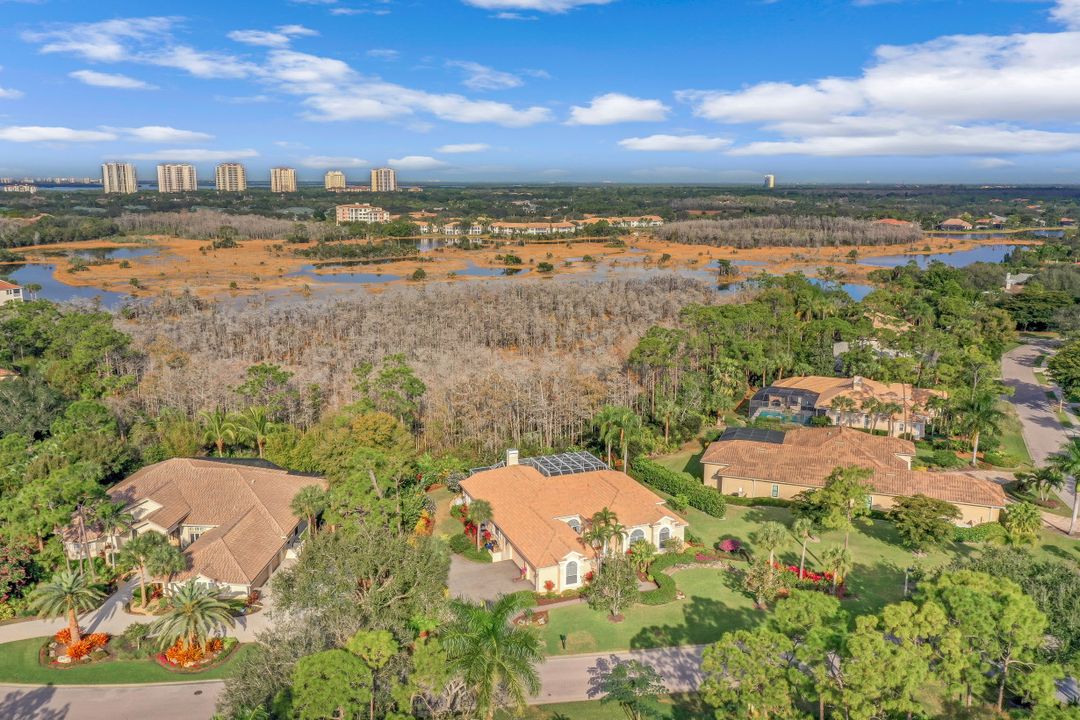 24540 Black Rush Ct, Bonita Springs, FL 34134