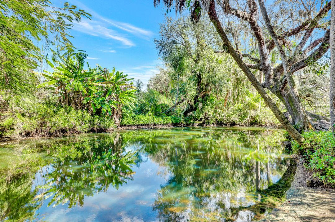 9250 Estero River Cir, Estero, FL 33928