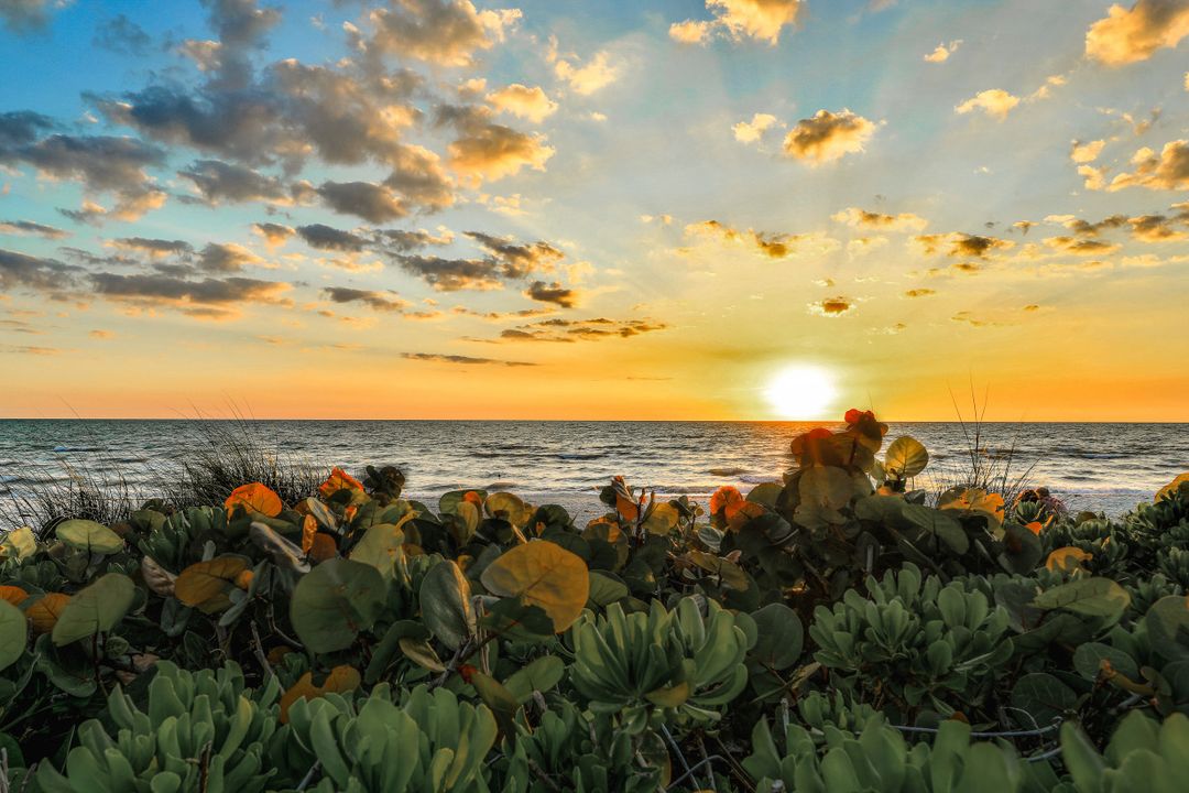 Allegro Condos #PH2D, Naples, FL 34103