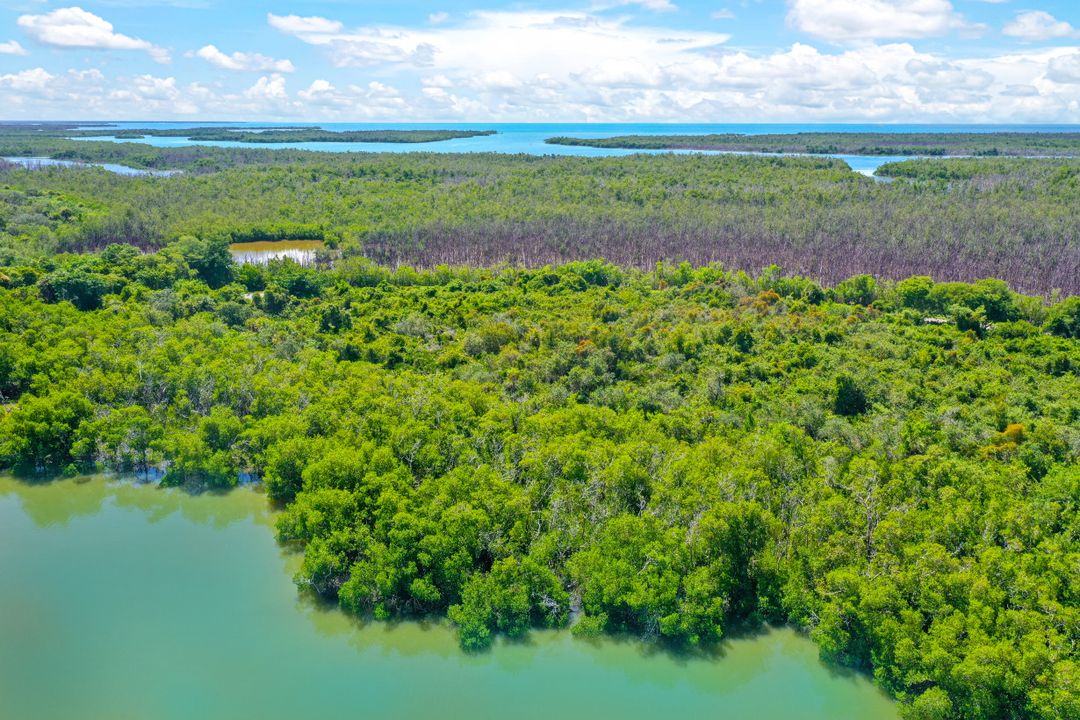 1017 Blue Hill Creek Dr, Marco Island, FL 34145