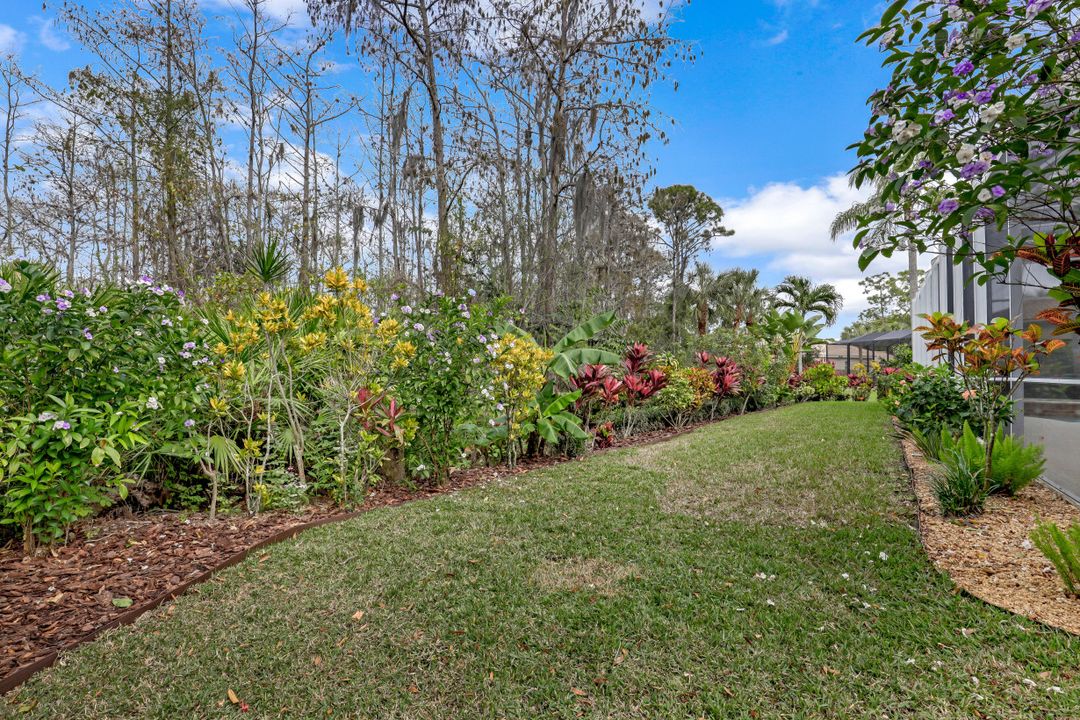 24540 Black Rush Ct, Bonita Springs, FL 34134