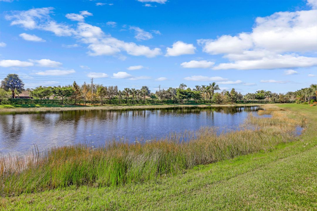 4098 Raffia Dr, Naples, FL 34119