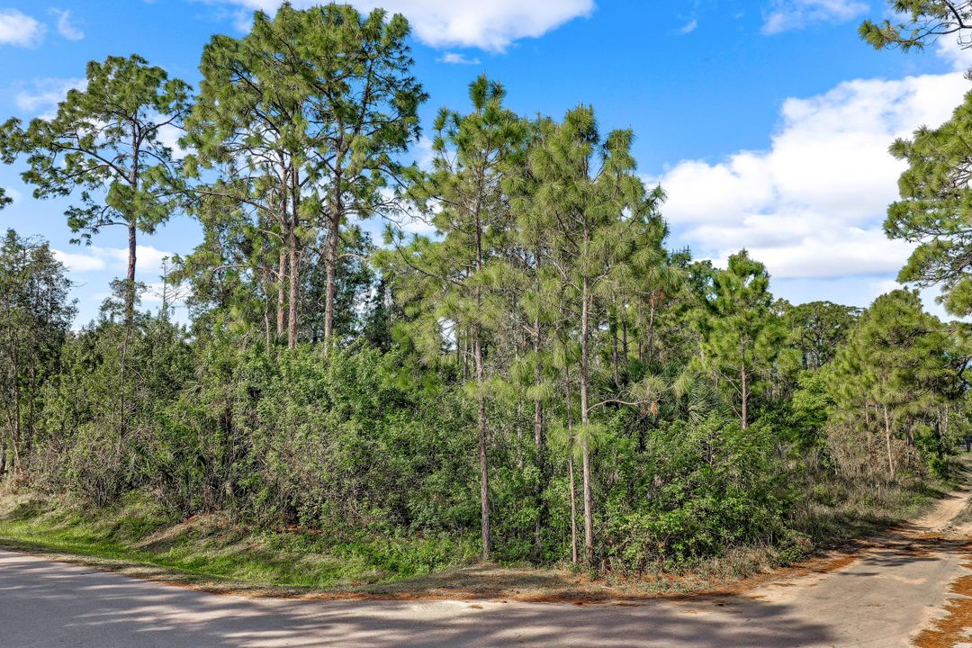 24000 Rocky Rd, Bonita Springs, FL 34135