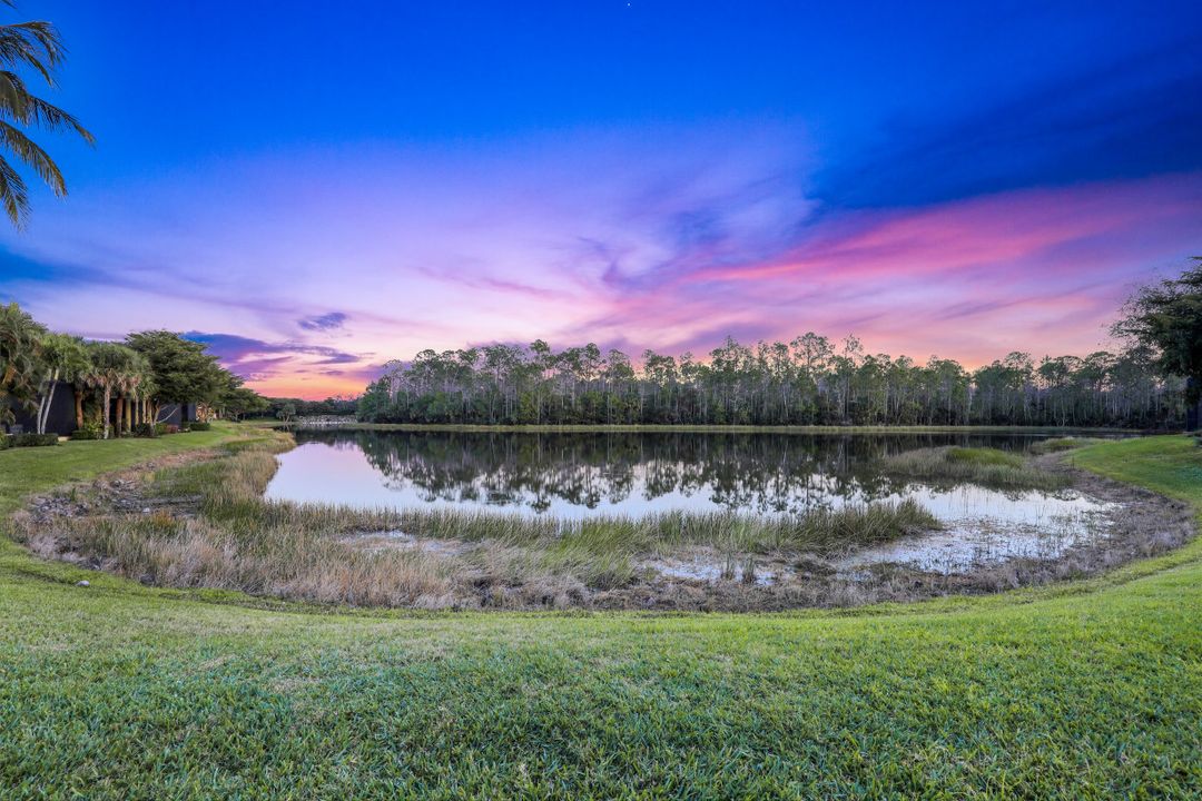 22001 Chartwell View Ct, Bonita Springs, FL 34135