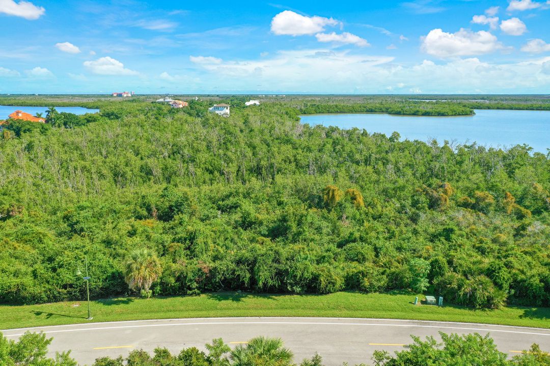 1059 Blue Hill Creek Dr, Marco Island, FL 34145