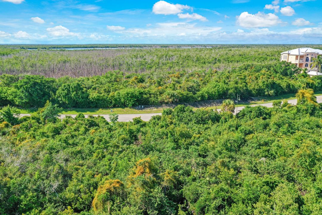 1059 Blue Hill Creek Dr, Marco Island, FL 34145