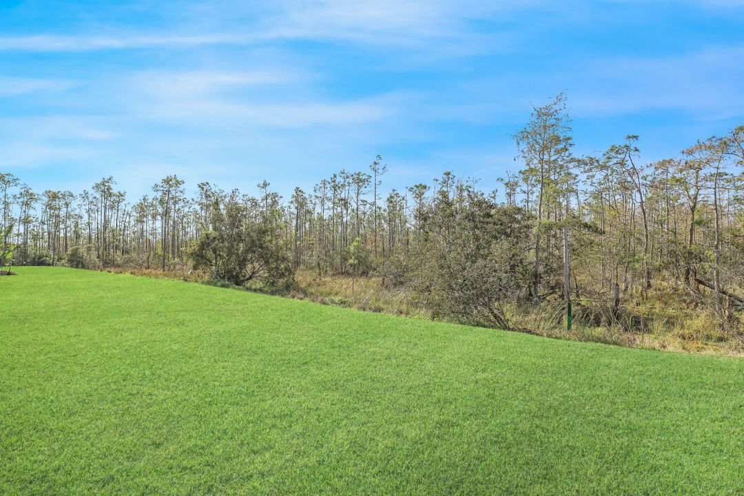 13291 Lazzaro Ct, Estero, FL 33928