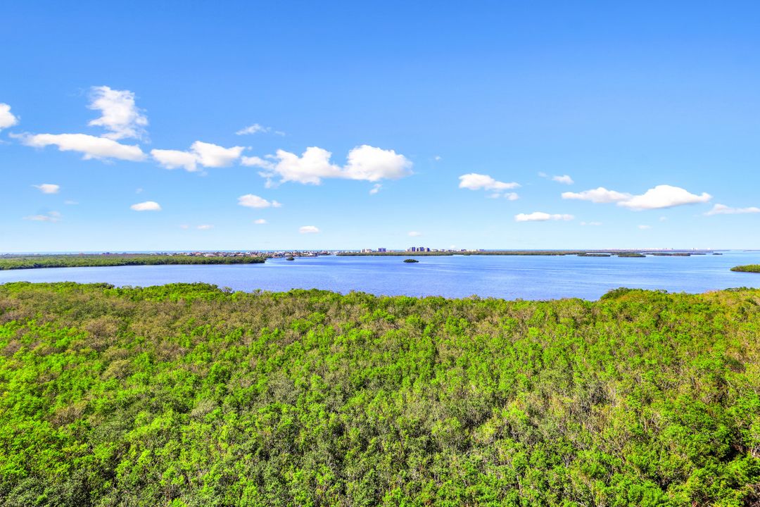 4811 Island Pond Ct #905, Bonita Springs, FL 34134