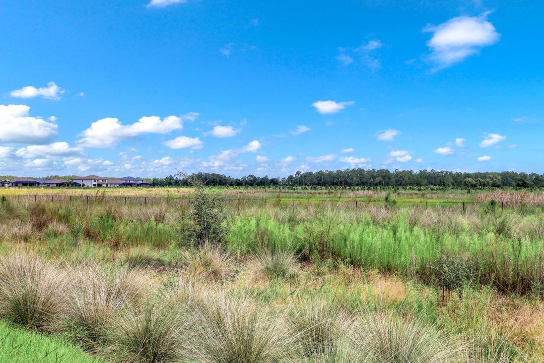 19732 Beechcrest Pl, Estero, FL 33913