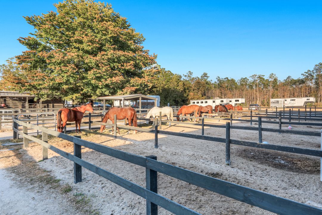 13731 E Terry St, Bonita Springs, FL 34135