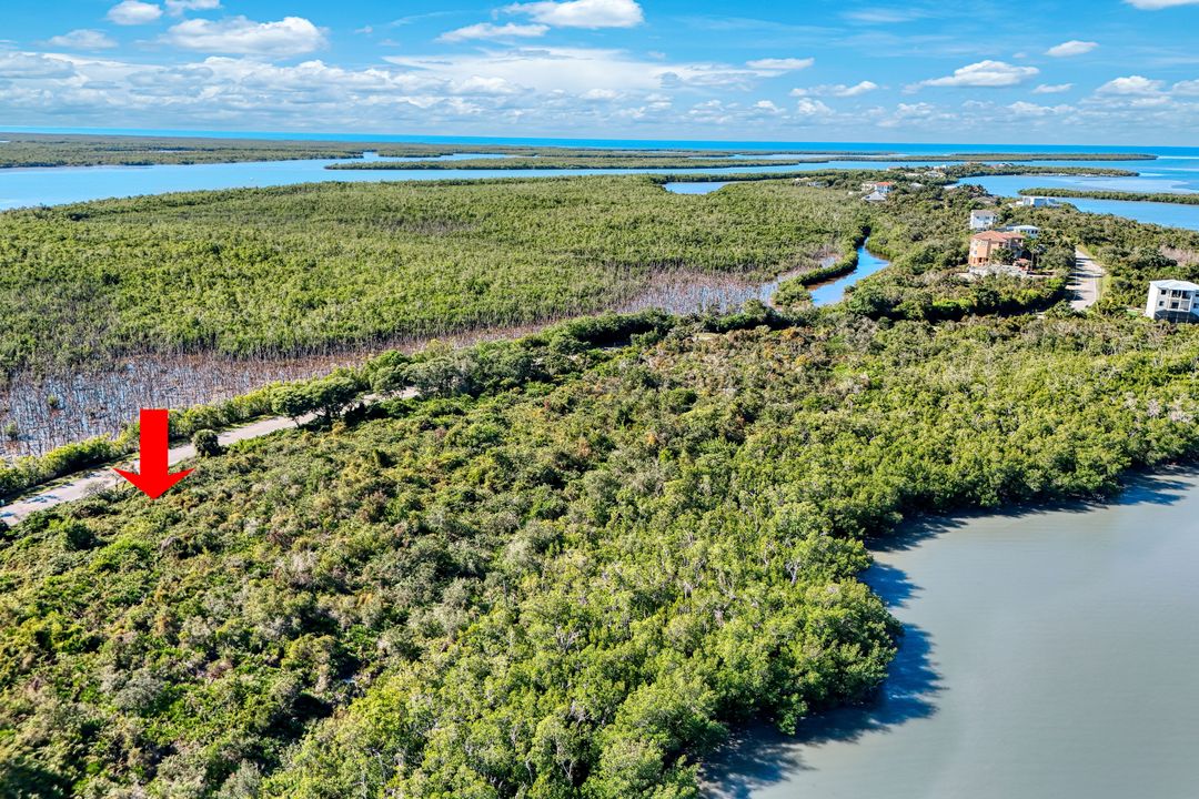 1011 Blue Hill Creek Dr, Marco Island, FL 34145