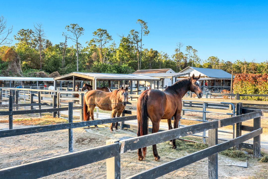 13731 E Terry St, Bonita Springs, FL 34135