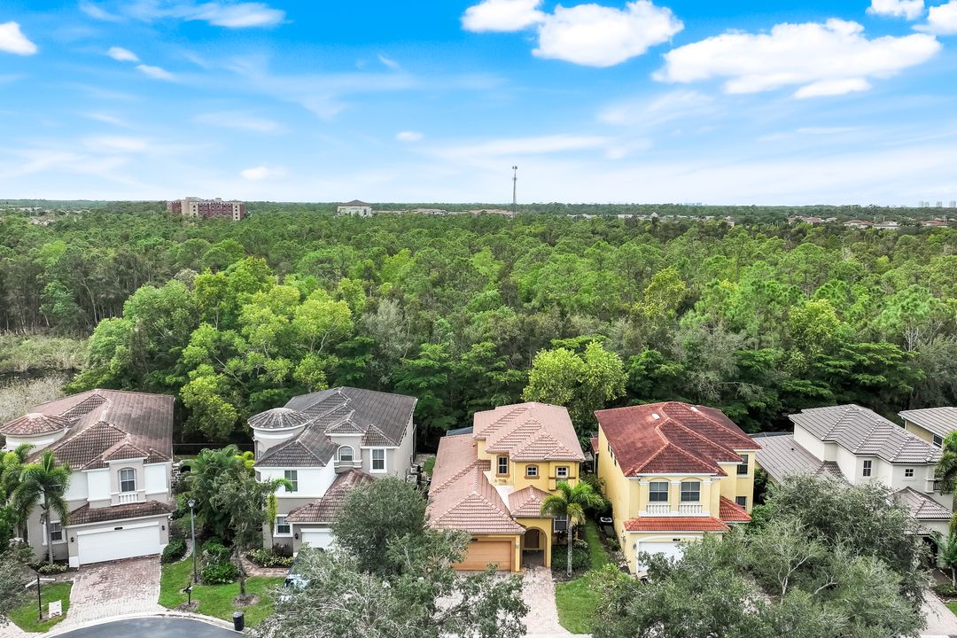 10253 S Silver Palm Dr, Estero, FL 33928