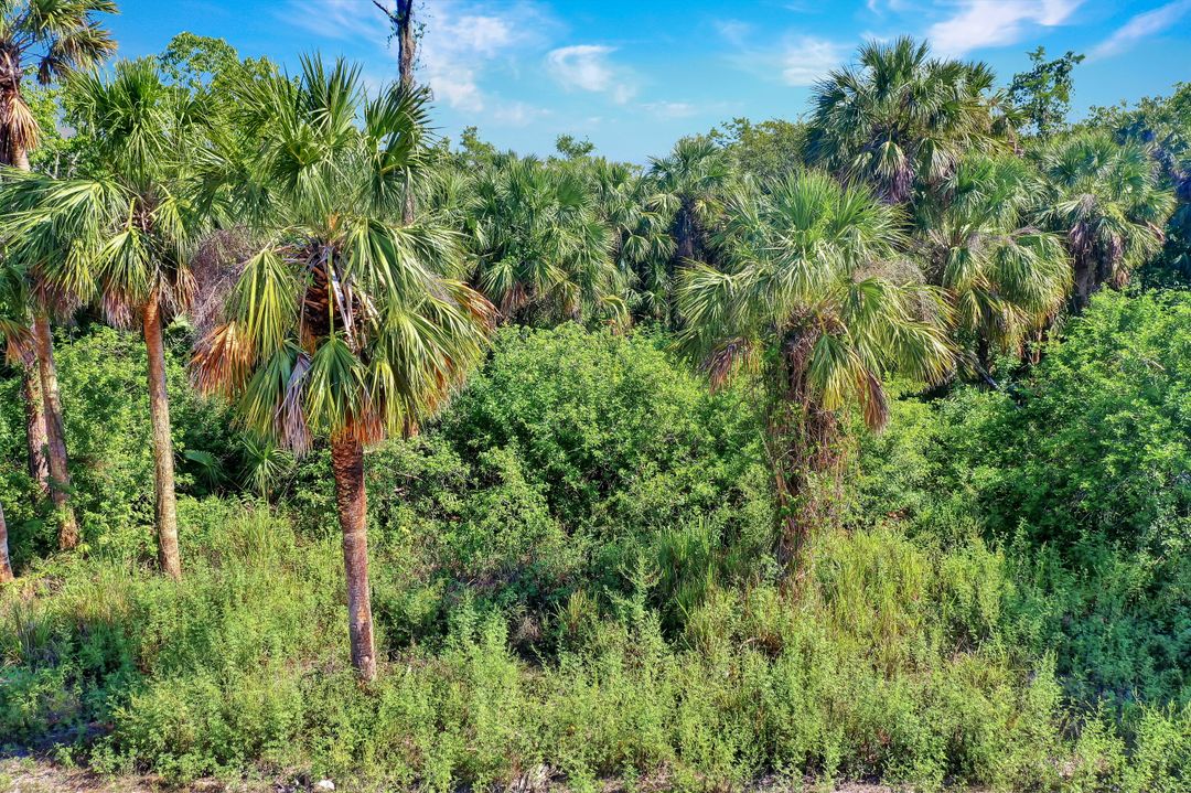 Cannon Blvd, Naples, FL 34120