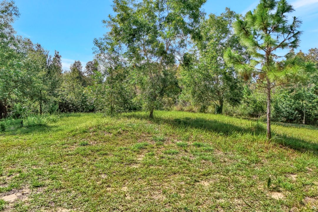 41601 Little Farm Rd, Punta Gorda, FL 33982