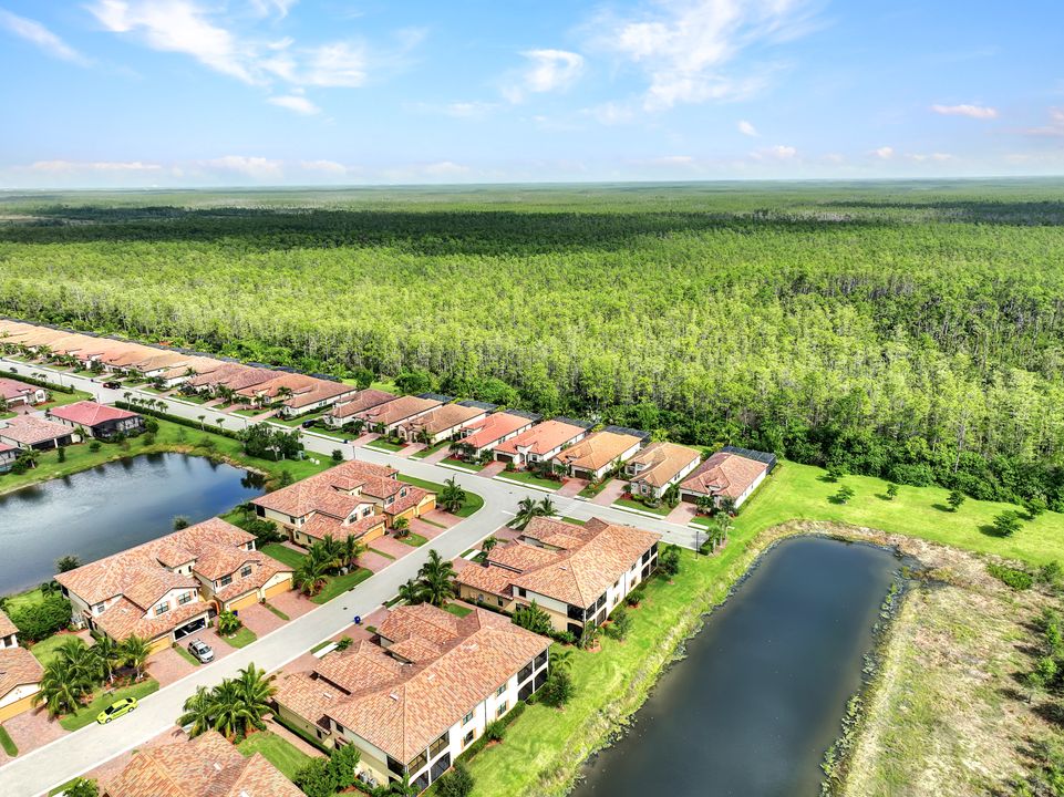 17411 Cherrywood Ct  #7303, Bonita Springs, FL 34135