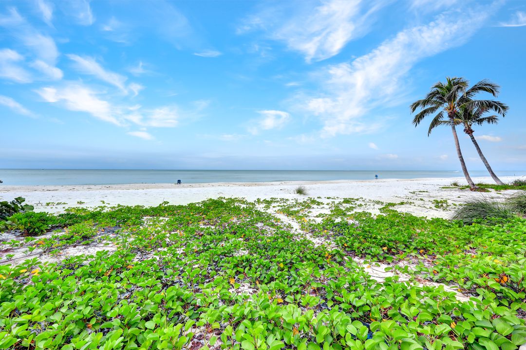 3115 Gulf Shore Blvd N #205-S, Naples, FL 34103