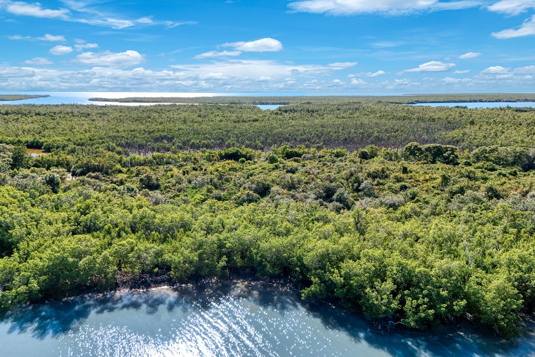 1011 Blue Hill Creek Dr, Marco Island, FL 34145