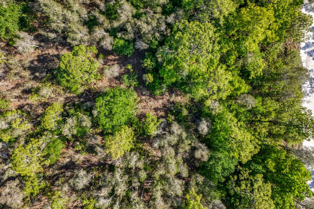 12571 Shawnee Rd, Fort Myers, FL 33913
