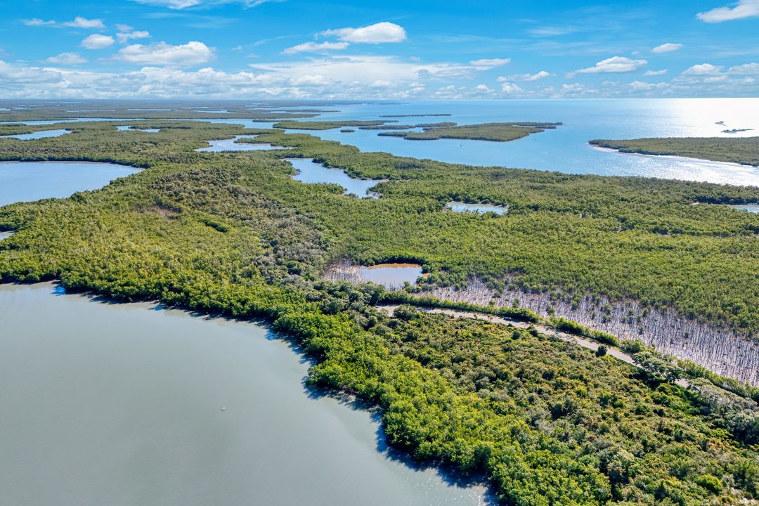 1011 Blue Hill Creek Dr, Marco Island, FL 34145