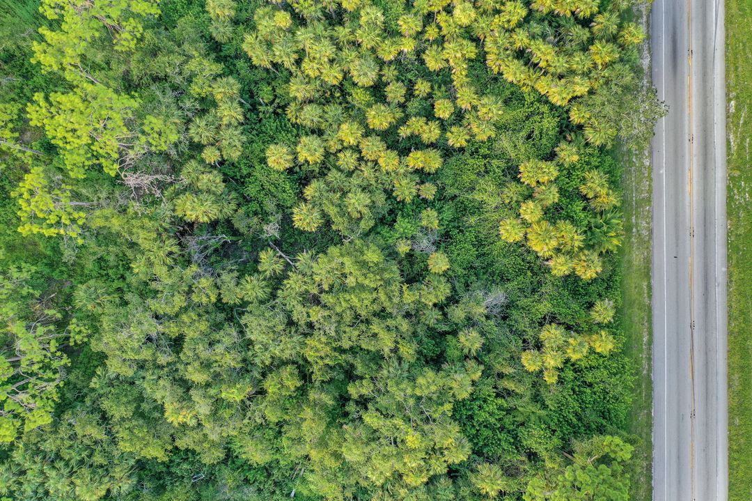 11731 Bayshore Rd, North Fort Myers, FL 33917