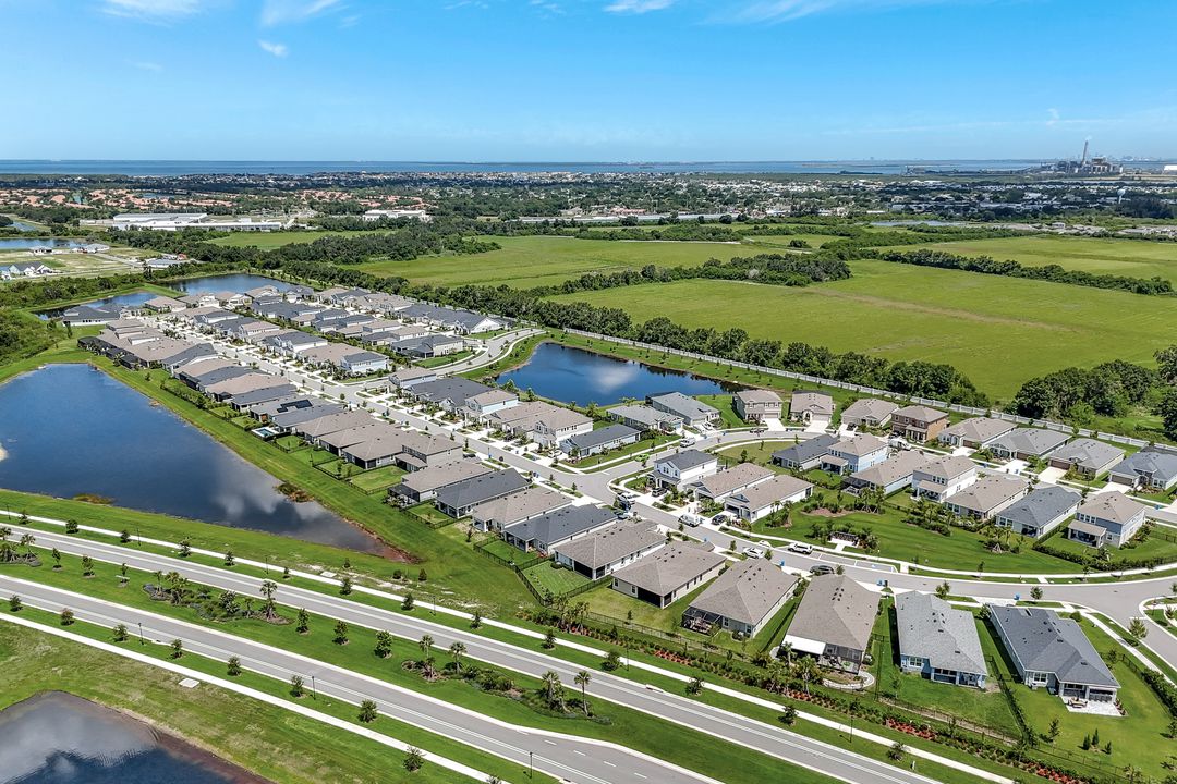 6219 Golden Nettle Dr, Apollo Beach, FL 33572