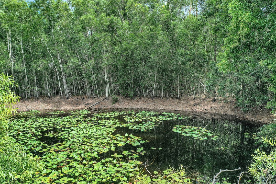 17520 Devore Ln, Fort Myers, FL 33913