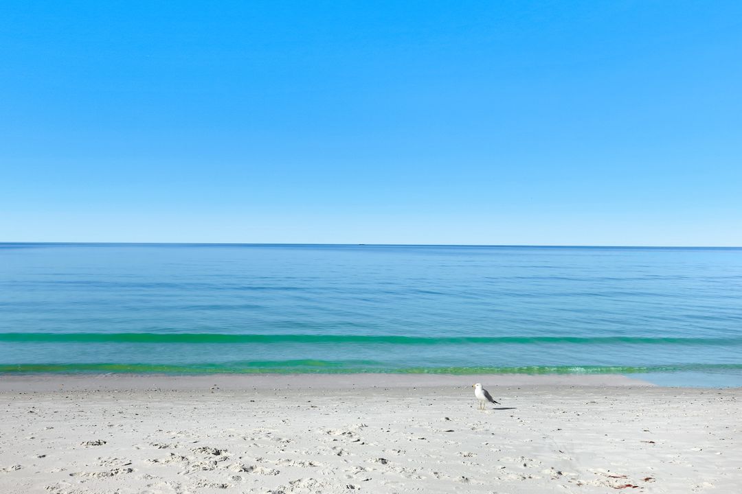 9467 Gulf Shore Dr, Naples, FL 34108