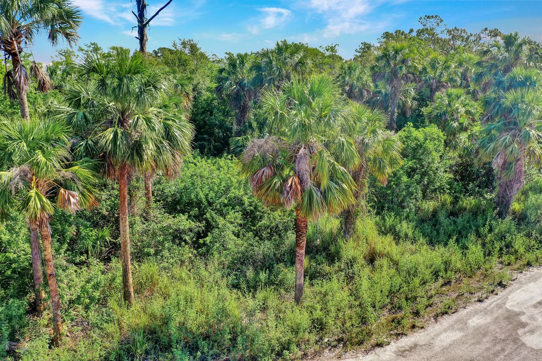 Cannon Blvd, Naples, FL 34120