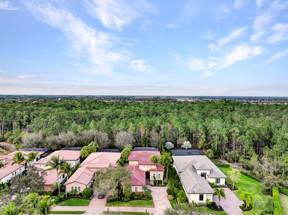 16830 Cabreo Dr, Naples, FL 34110